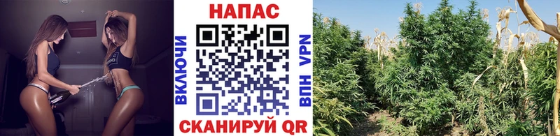 Наркотические вещества Саров Амфетамин  ГЕРОИН  МЕФ  Конопля  Cocaine 