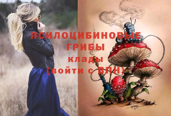 шишки Алексин