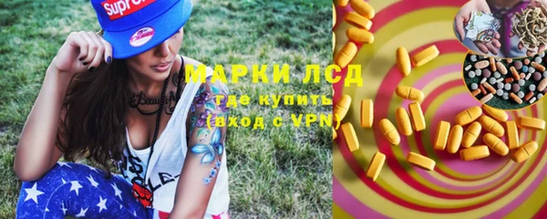 шишки Алексин