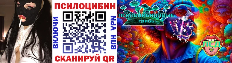 darknet как зайти Саров Галлюциногенные грибы Psilocybe omg ссылки